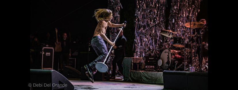 Iggy Pop - Free